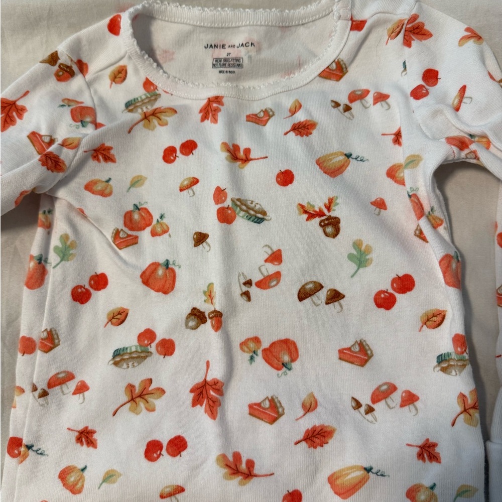 Janie and Jack fall pajama set (2T)